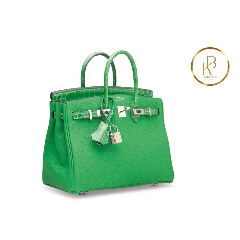 Birkin 25 Touch Shiny Cactus Crocodile & Bambou Togo Handbags
