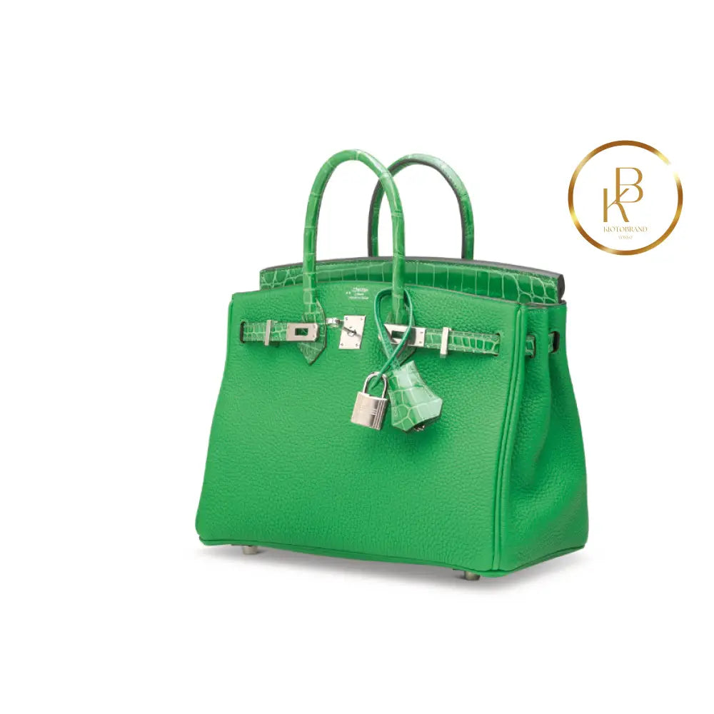 Birkin 25 Touch Shiny Cactus Crocodile & Bambou Togo Handbags