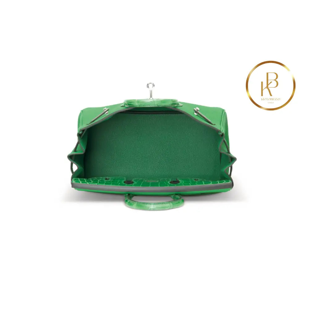 Birkin 25 Touch Shiny Cactus Crocodile & Bambou Togo Handbags
