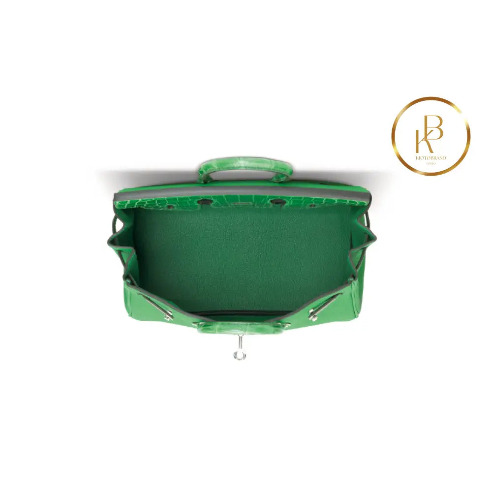 Birkin 25 Touch Shiny Cactus Crocodile & Bambou Togo Handbags