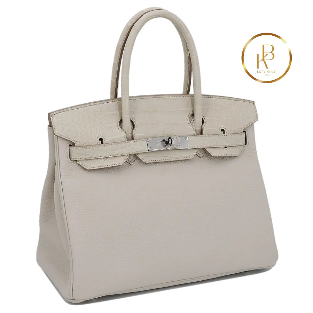 Birkin 30 Touch Alligator Beton Togo Handbags