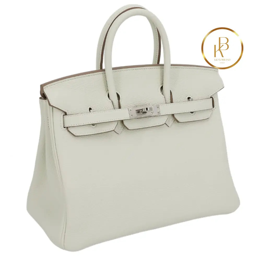Birkin 25 Mushroom Togo Handbags