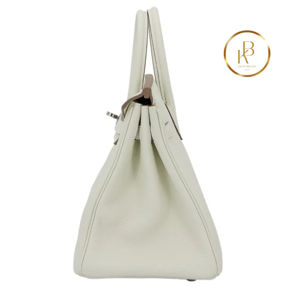 Birkin 25 Mushroom Togo Handbags