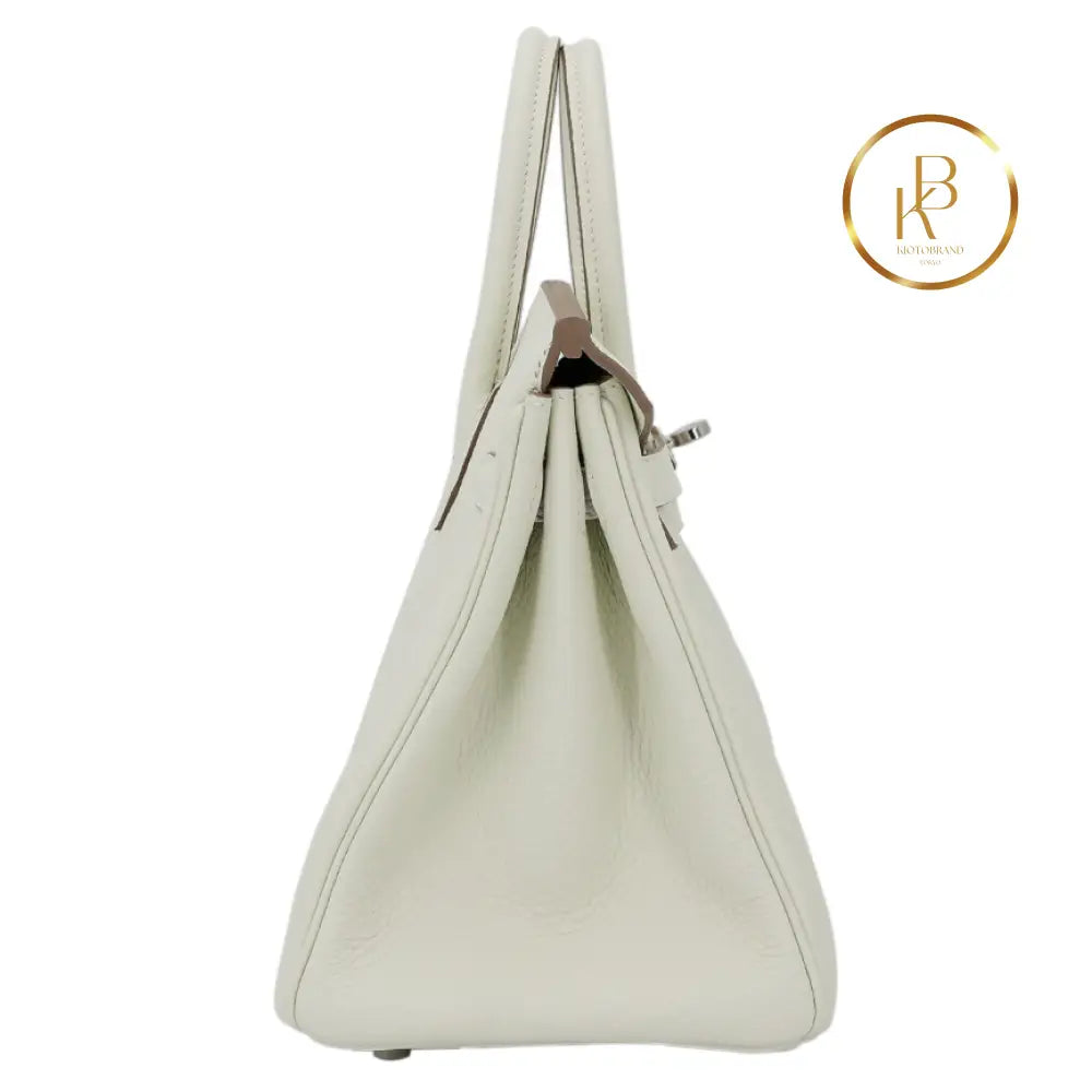 Birkin 25 Mushroom Togo Handbags