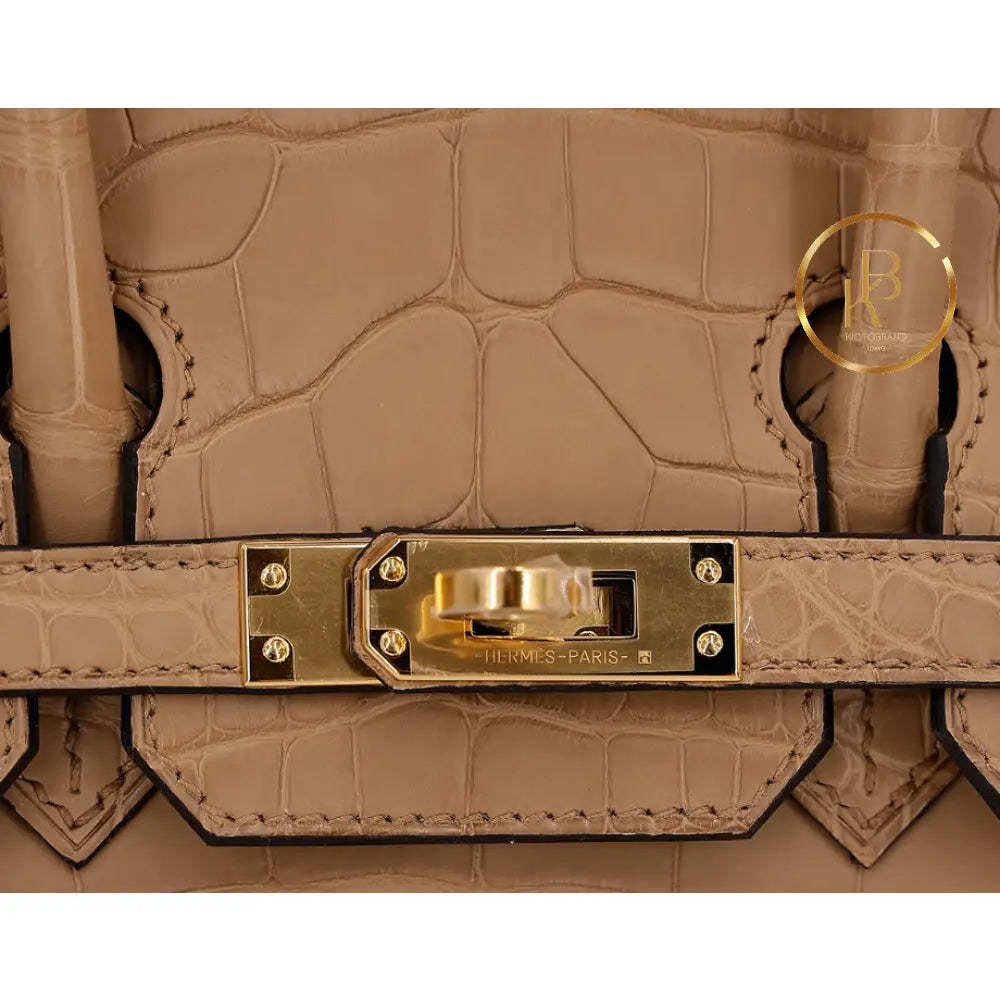 Birkin 25 Chai Matte Alligator Ghw Handbags
