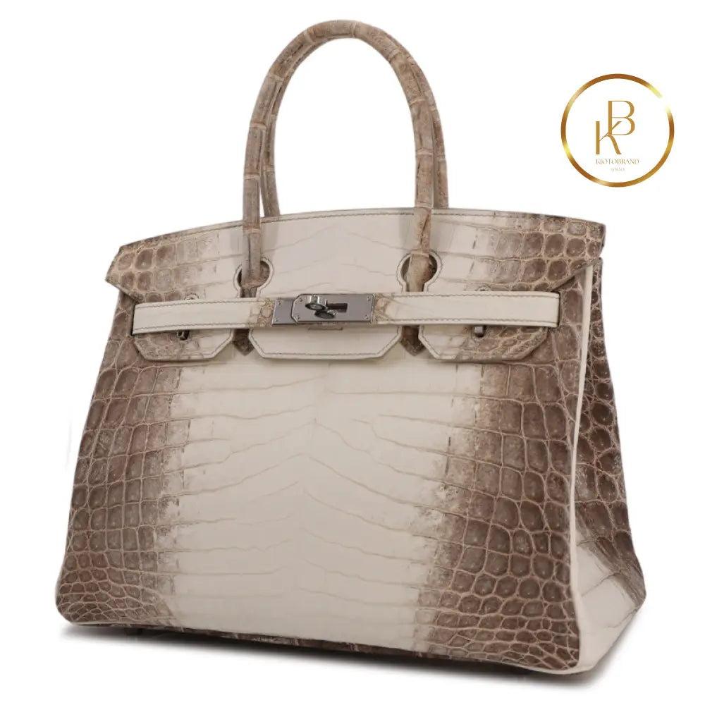 Birkin 30 Himalaya Matte Niloticus Croc Handbags