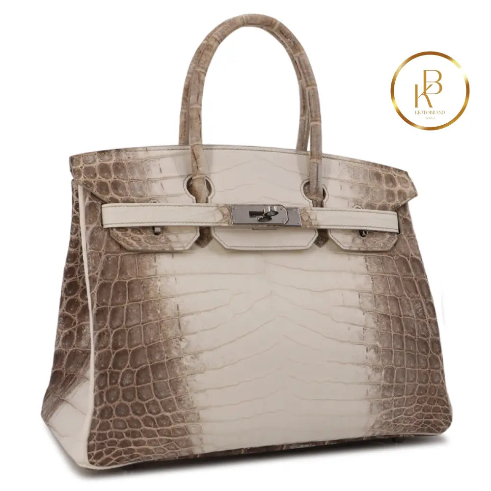 Birkin 30 Himalaya Matte Niloticus Croc Handbags