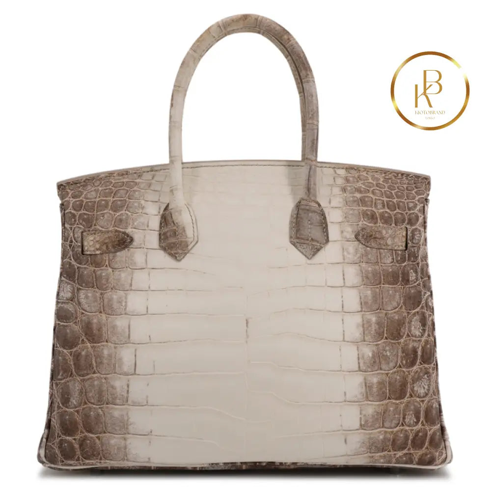 Birkin 30 Himalaya Matte Niloticus Croc Handbags
