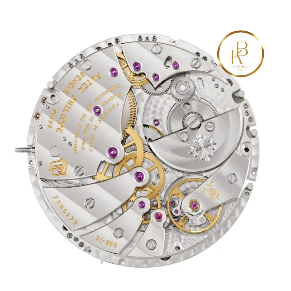 Patek Philippe Grand Complications Perpetual Calendar 41.3Mm 5236P-001 Watches