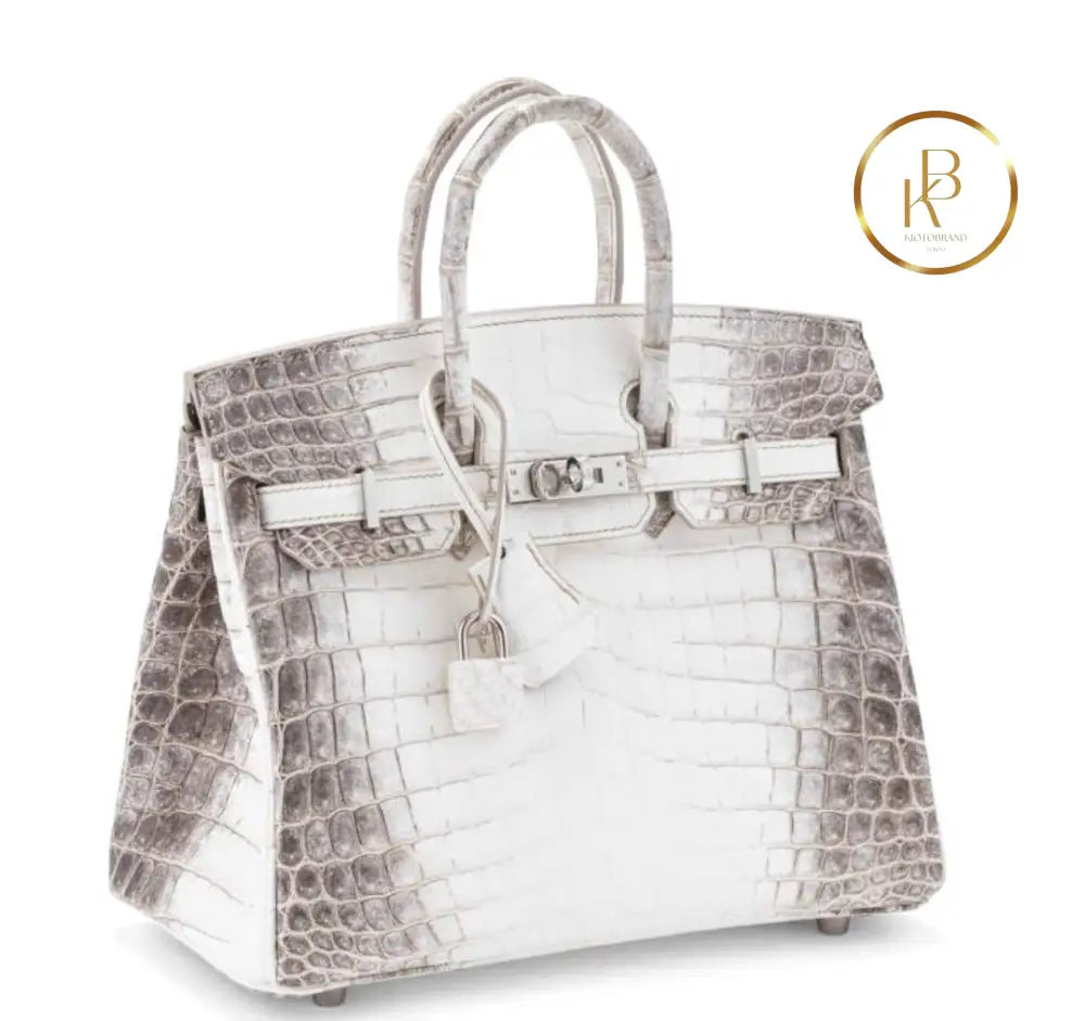 Birkin 25 Himalaya Matte Niloticus Croc Handbags