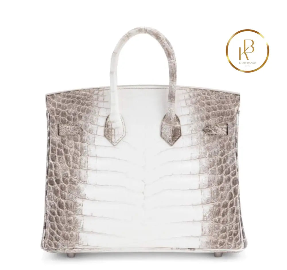 Birkin 25 Himalaya Matte Niloticus Croc Handbags