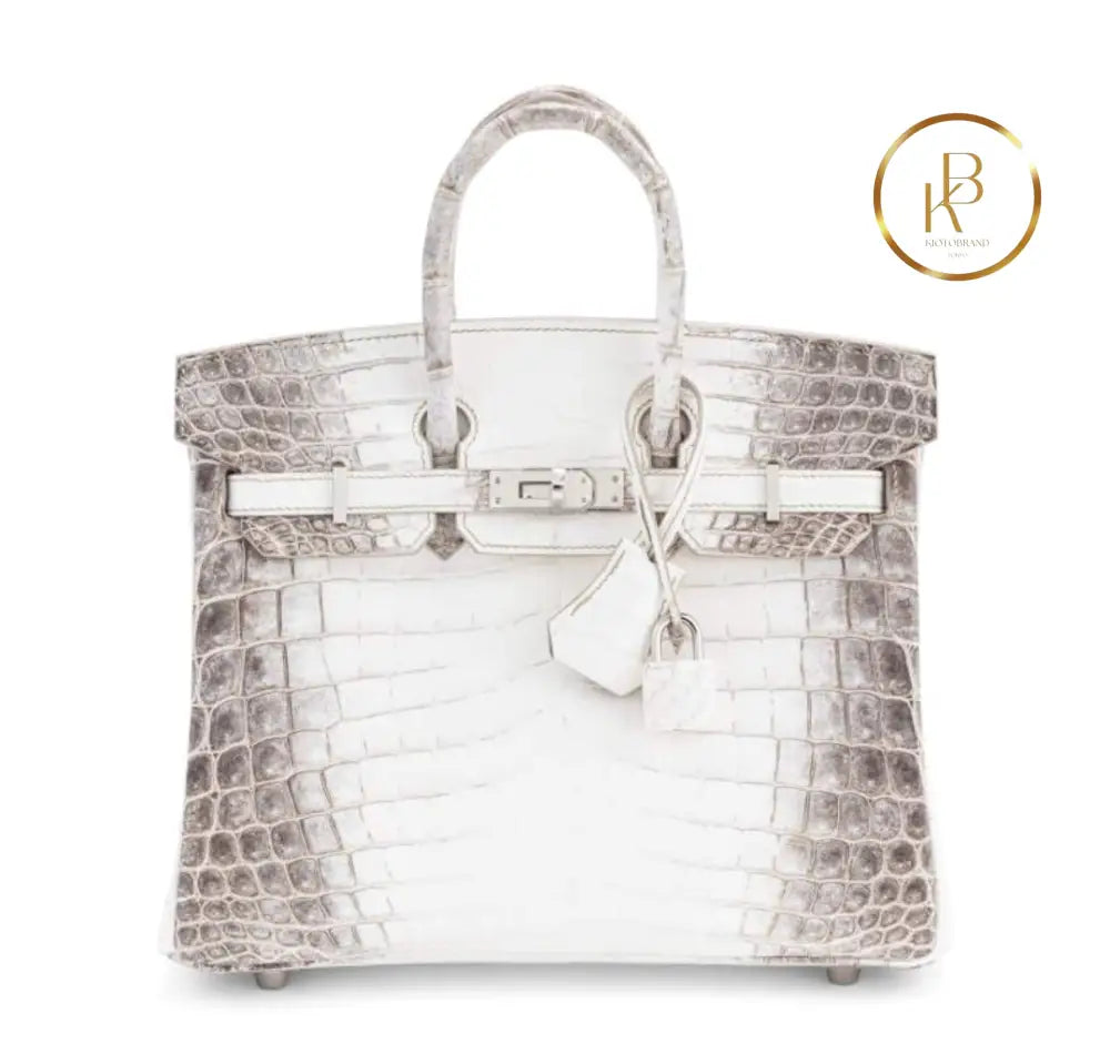 Birkin 25 Himalaya Matte Niloticus Croc Handbags