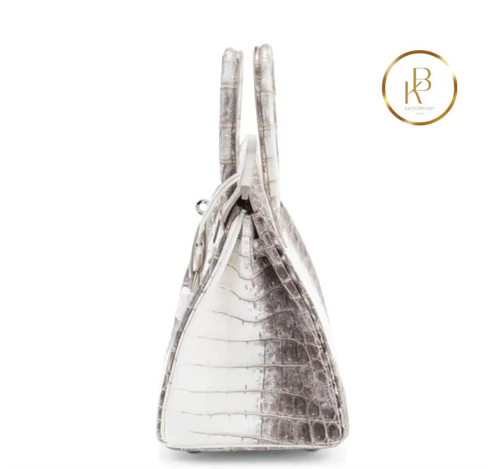 Birkin 25 Himalaya Matte Niloticus Croc Handbags