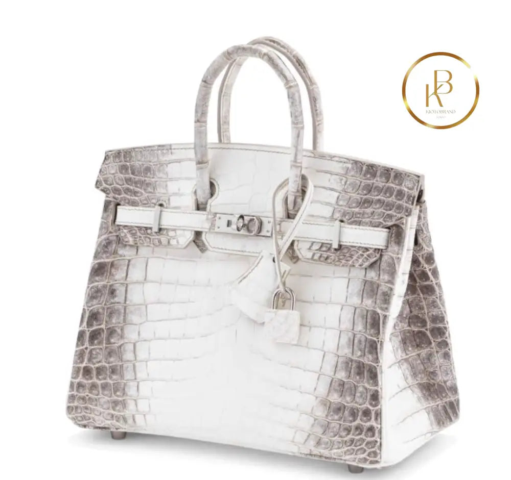 Birkin 25 Himalaya Matte Niloticus Croc Handbags