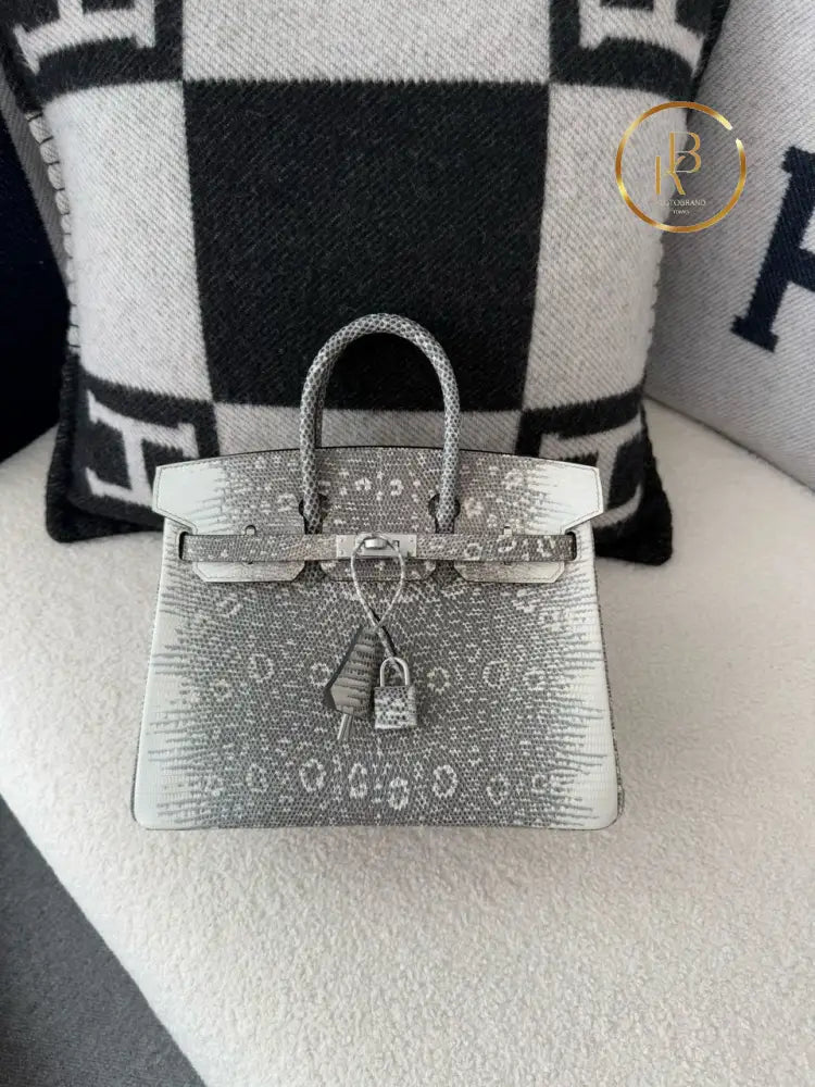 Birkin 25 Ombre Lizard Palladium Hardware
