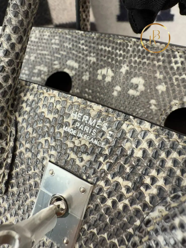 Birkin 25 Ombre Lizard Palladium Hardware
