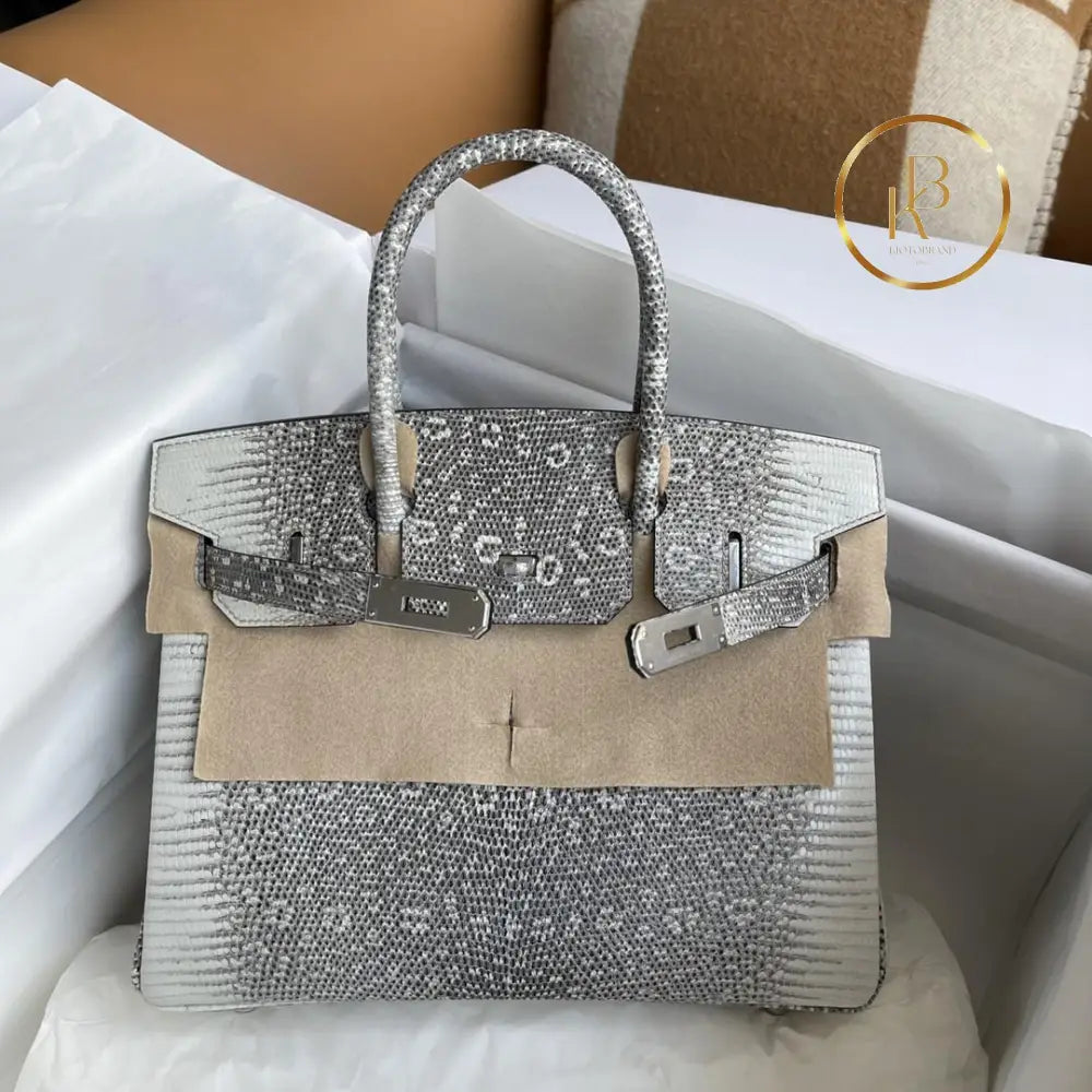Birkin 25 Ombre Lizard Palladium Hardware
