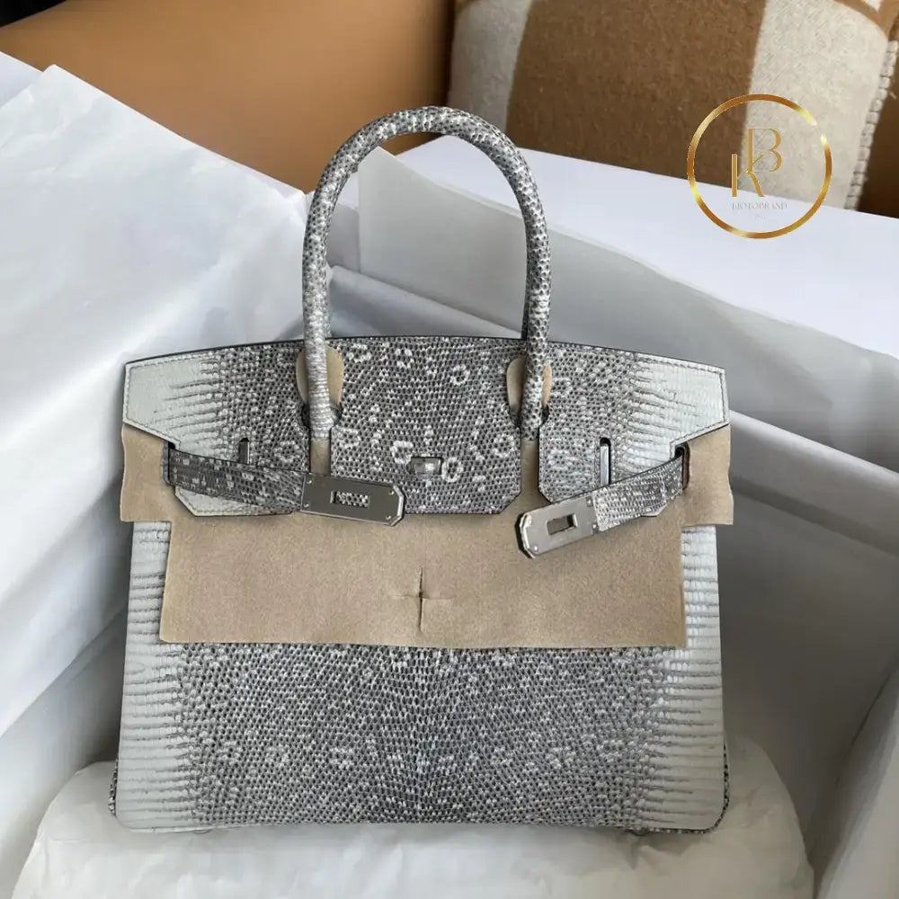 Birkin 25 Ombre Lizard Palladium Hardware