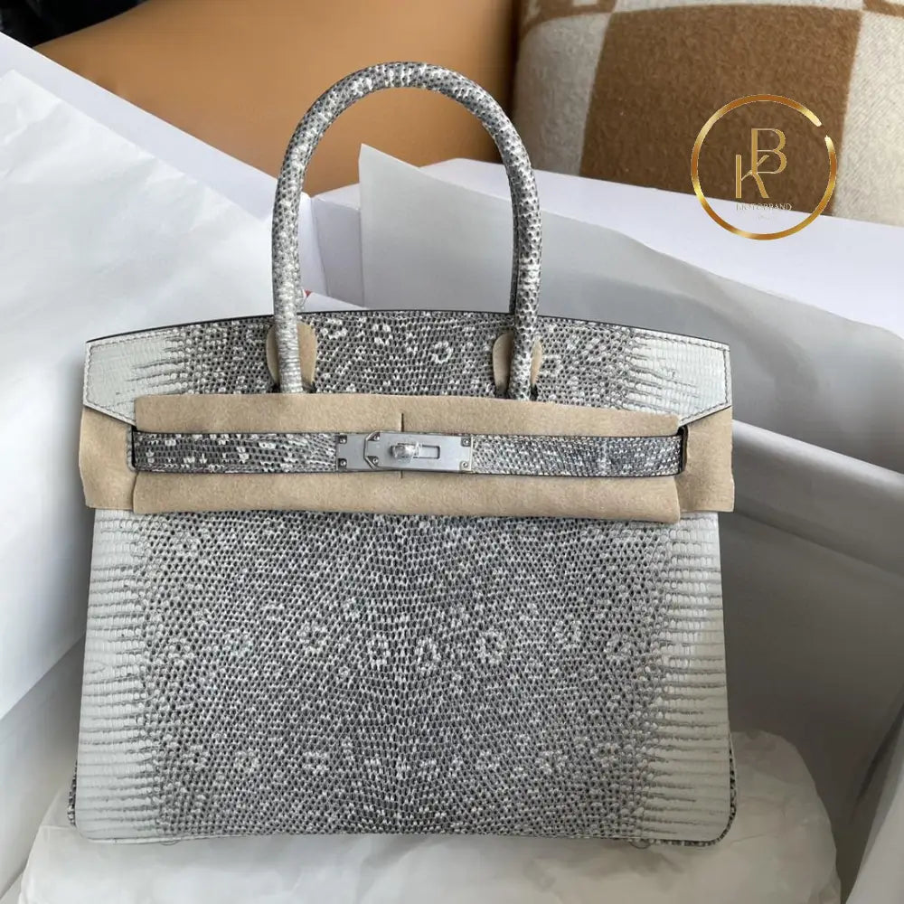 Birkin 25 Ombre Lizard Palladium Hardware