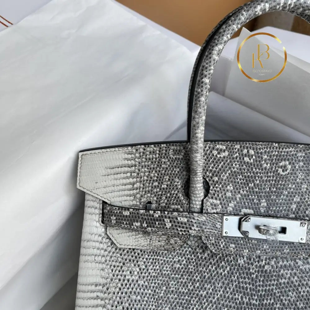Birkin 25 Ombre Lizard Palladium Hardware