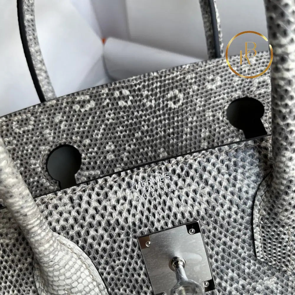 Birkin 25 Ombre Lizard Palladium Hardware