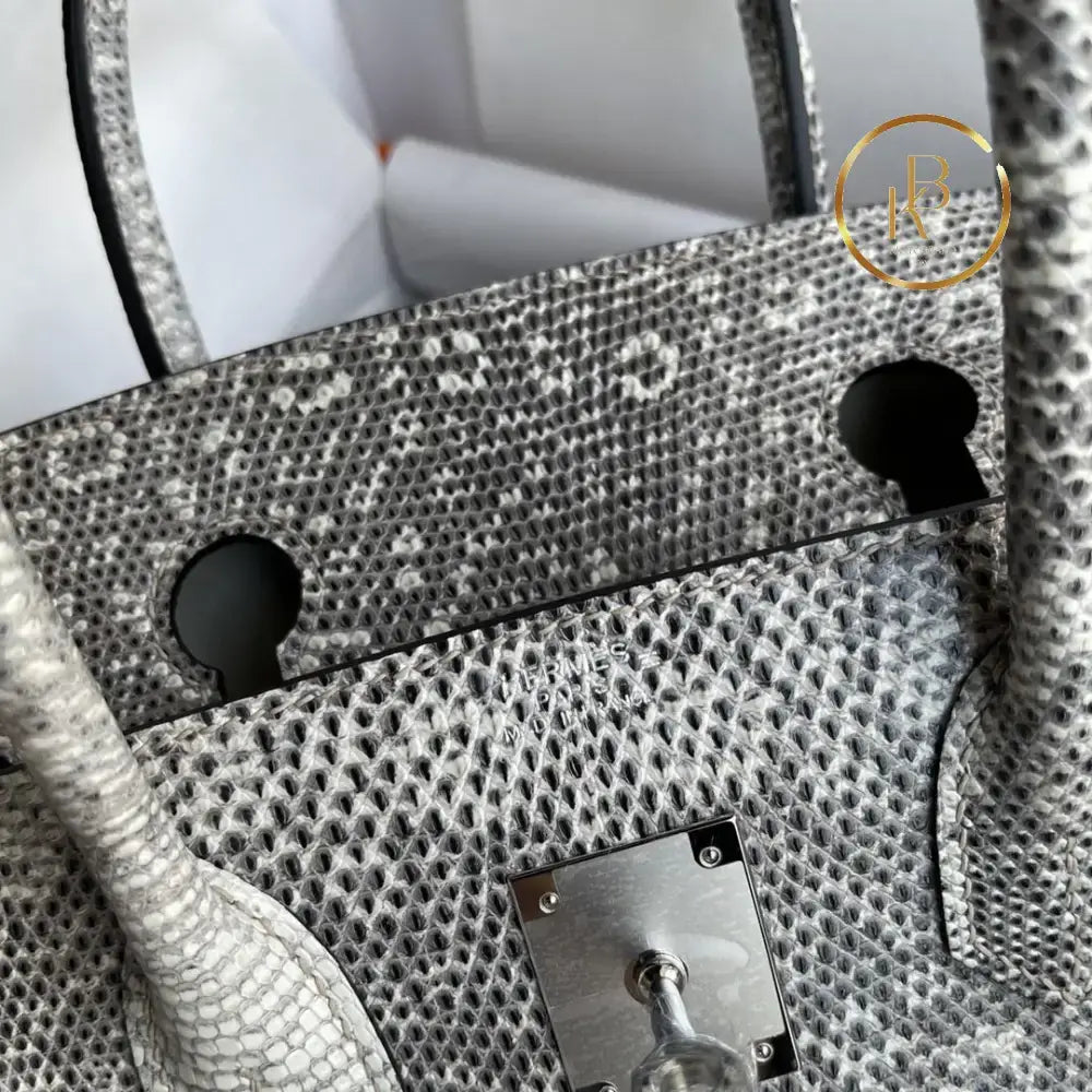 Birkin 25 Ombre Lizard Palladium Hardware
