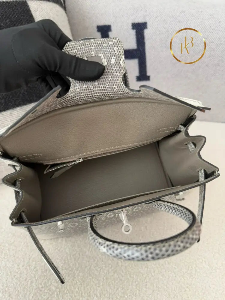 Birkin 25 Ombre Lizard Palladium Hardware