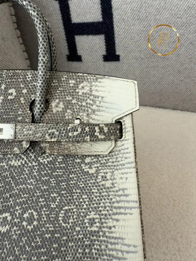 Birkin 25 Ombre Lizard Palladium Hardware