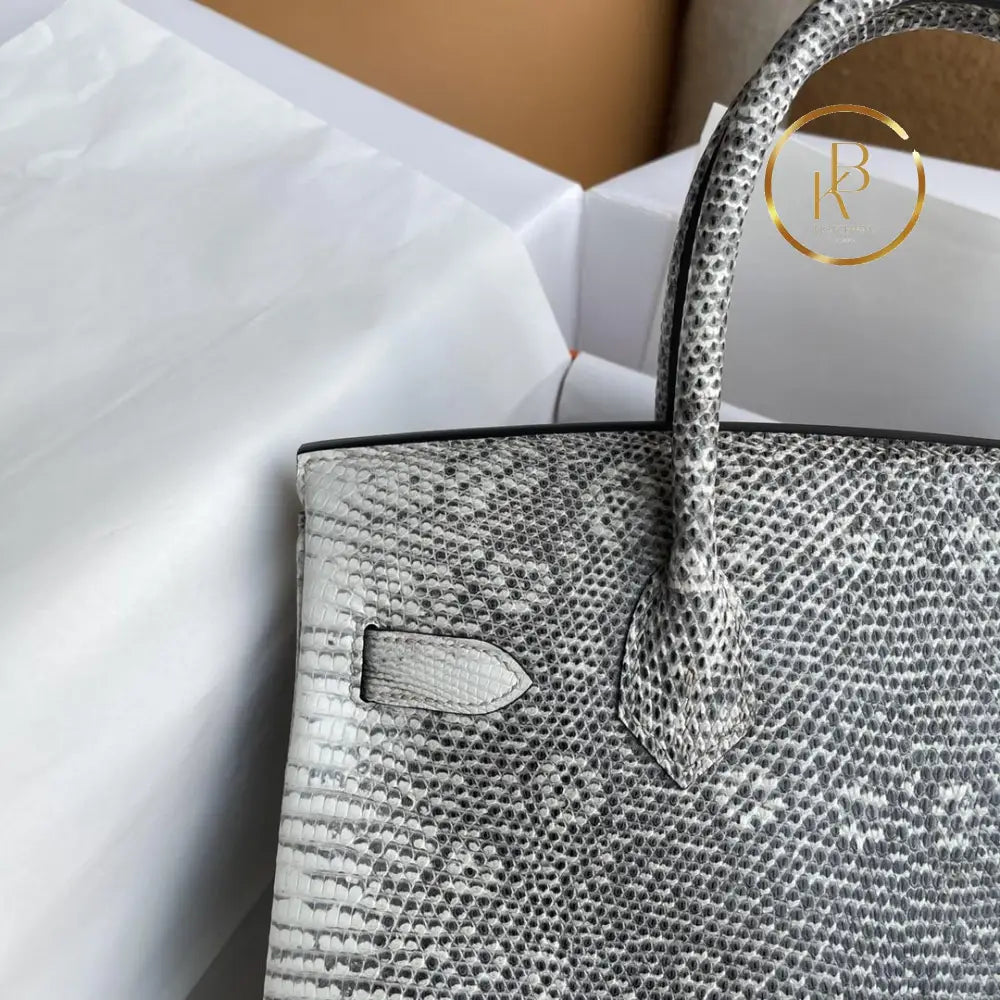 Birkin 25 Ombre Lizard Palladium Hardware
