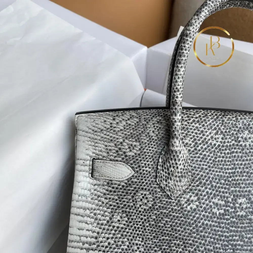 Birkin 25 Ombre Lizard Palladium Hardware