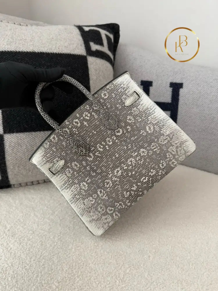 Birkin 25 Ombre Lizard Palladium Hardware