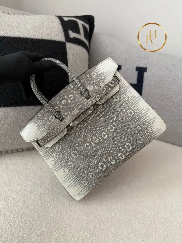 Birkin 25 Ombre Lizard Palladium Hardware