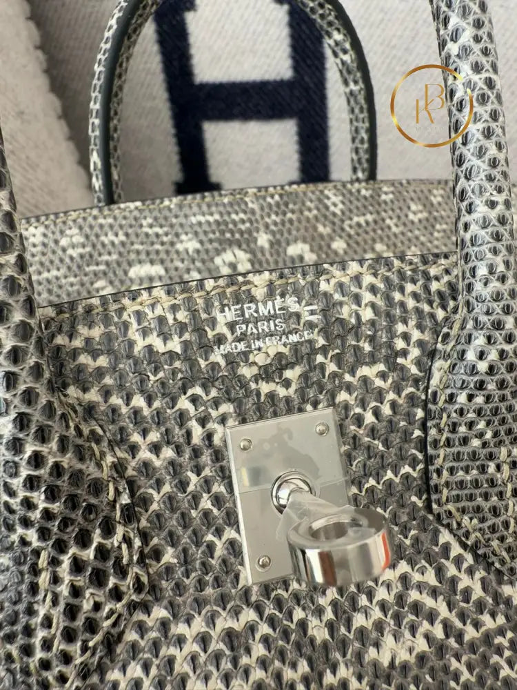 Birkin 25 Ombre Lizard Palladium Hardware