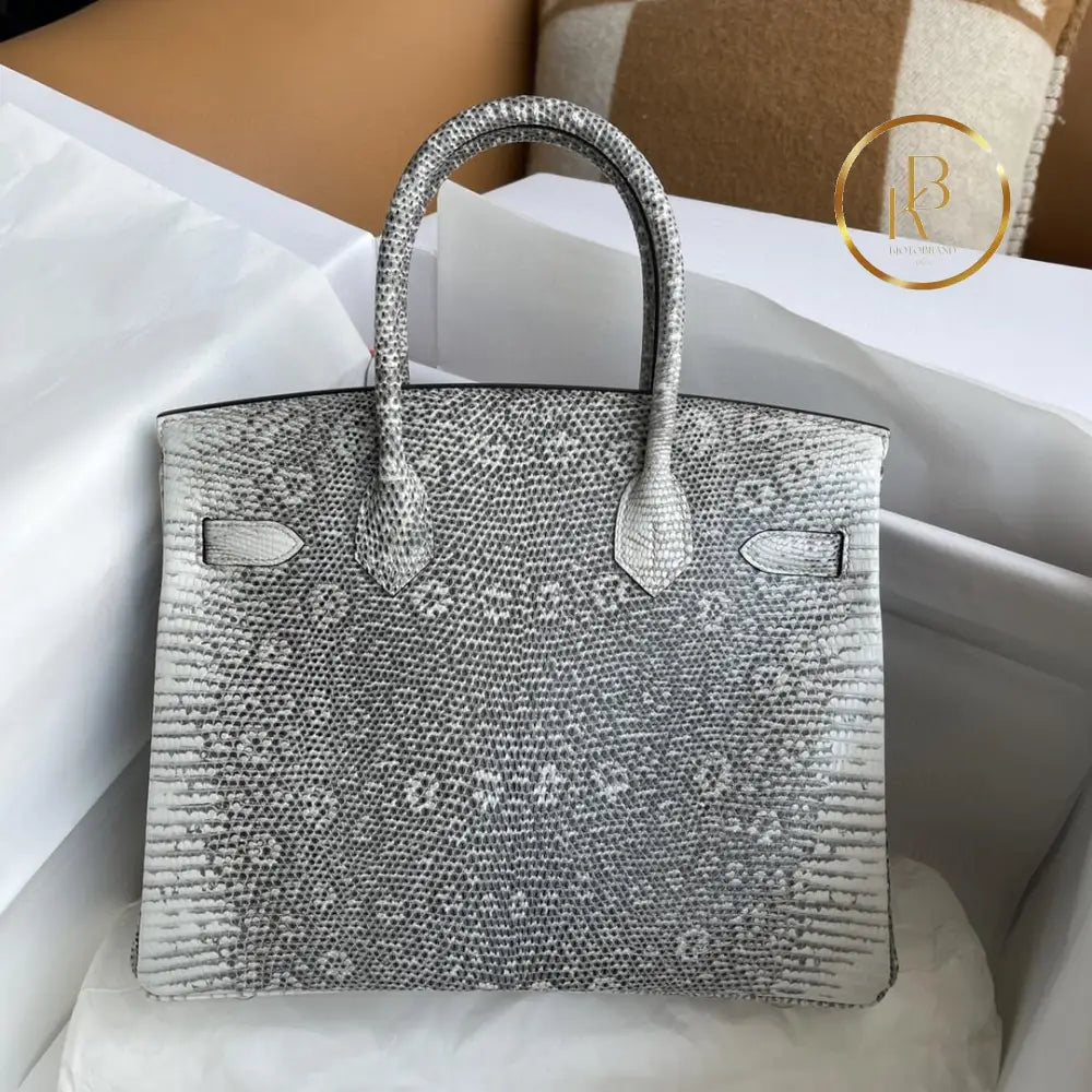 Birkin 25 Ombre Lizard Palladium Hardware