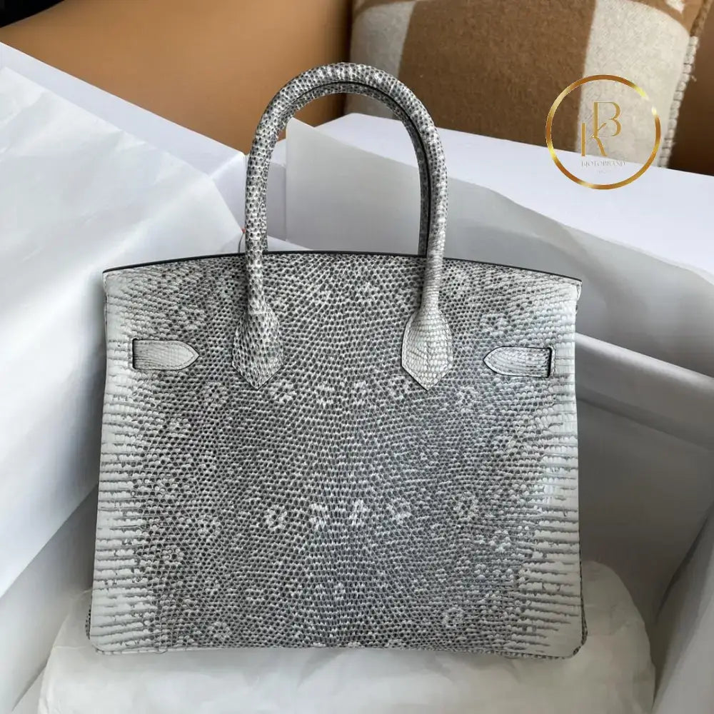 Birkin 25 Ombre Lizard Palladium Hardware