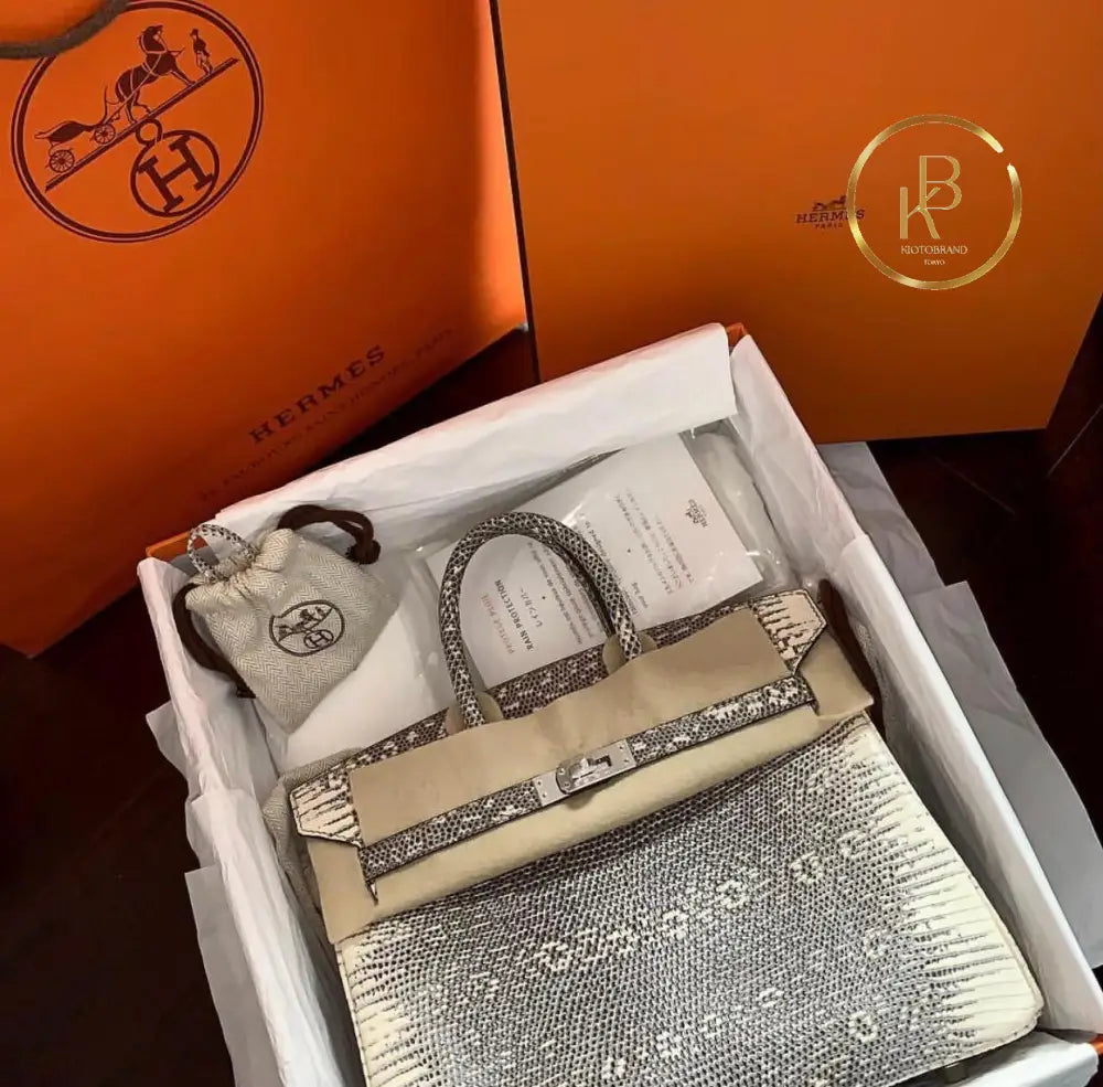 Birkin 25 Ombre Lizard Palladium Hardware
