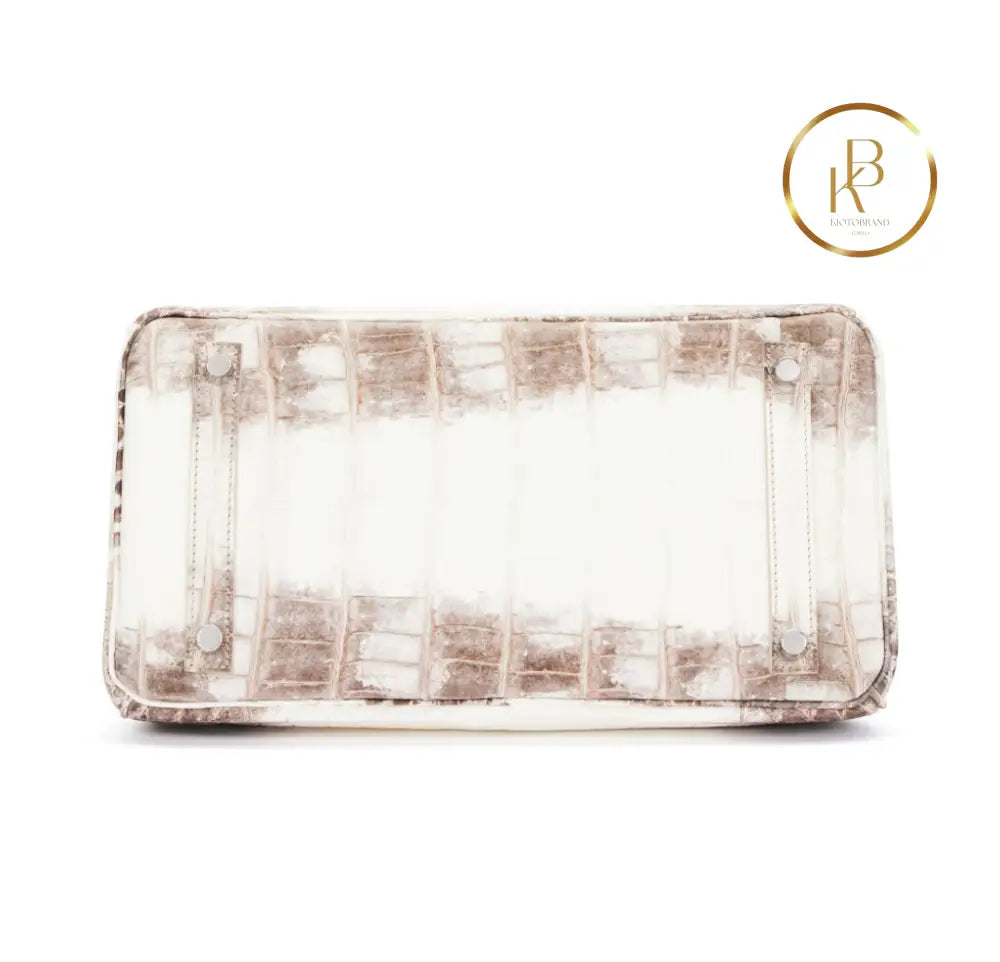 Birkin 30 Himalaya Matte Nile Croco Handbags