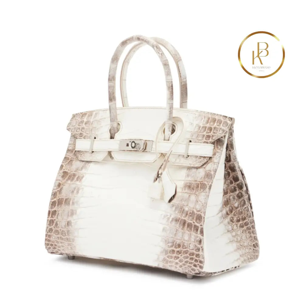 Birkin 30 Himalaya Matte Nile Croco Handbags
