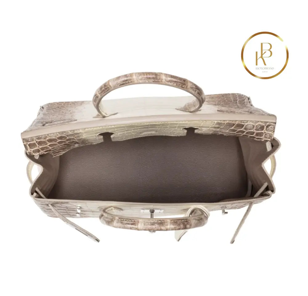 Birkin 30 Himalaya Matte Nile Croco Handbags