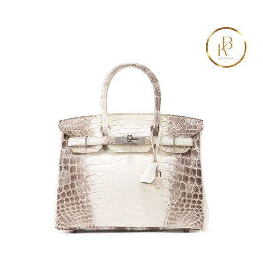 Birkin 30 Himalaya Matte Nile Croco Handbags