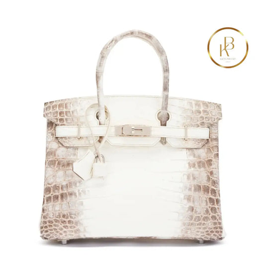 Birkin 30 Himalaya Matte Nile Croco Handbags