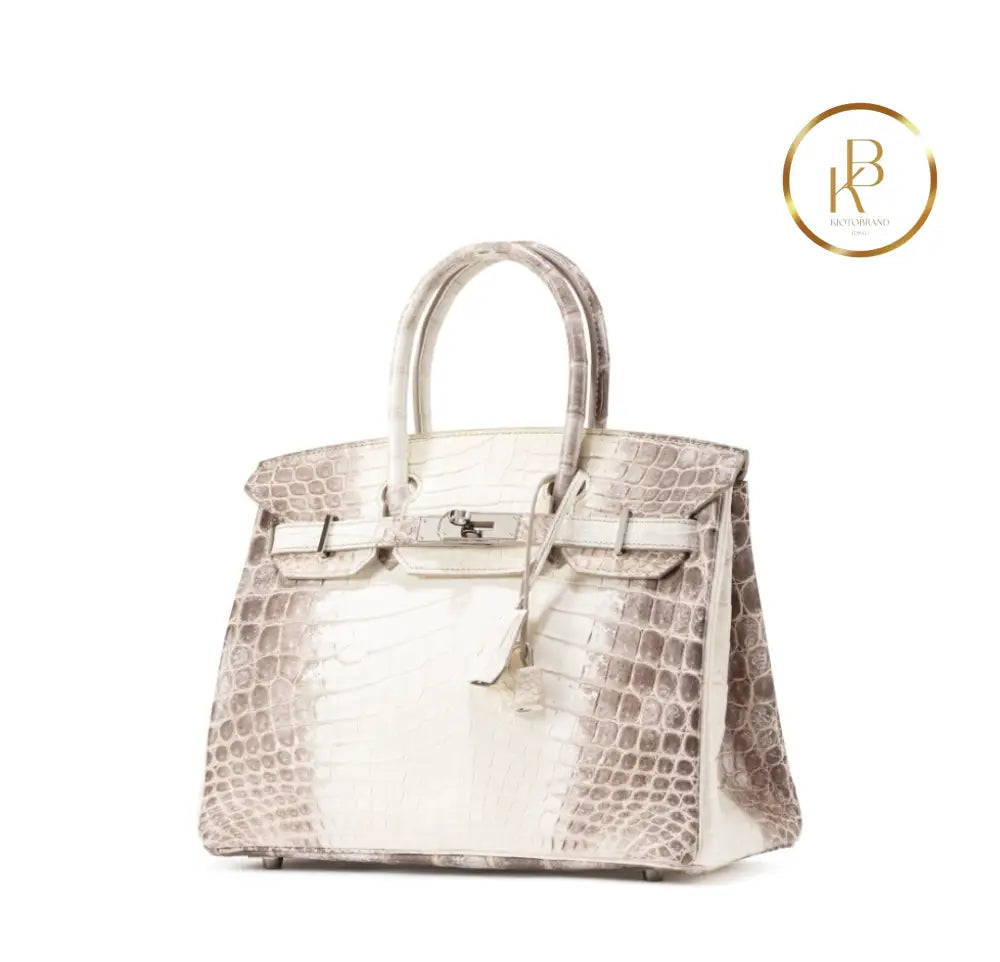 Birkin 30 Himalaya Matte Nile Croco Handbags