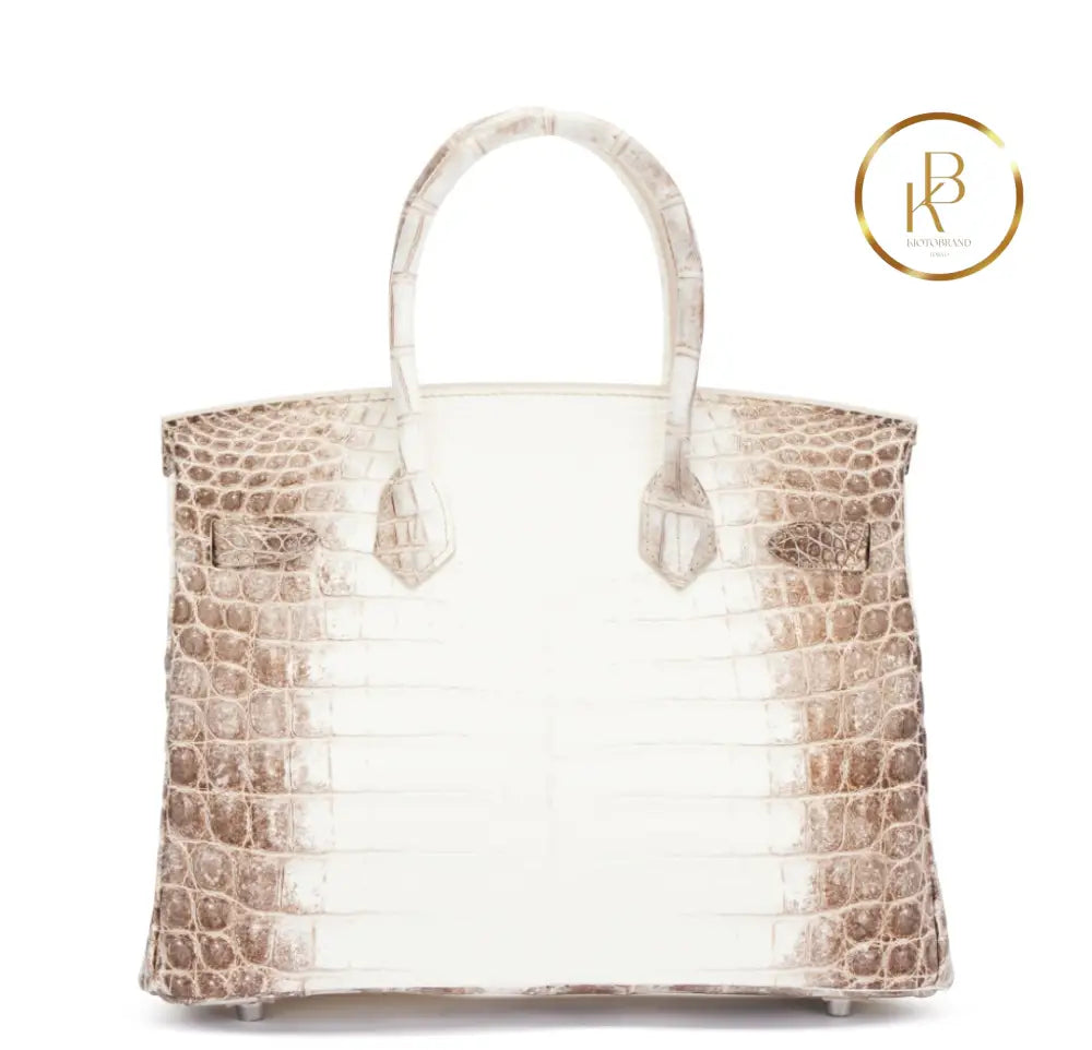 Birkin 30 Himalaya Matte Nile Croco Handbags