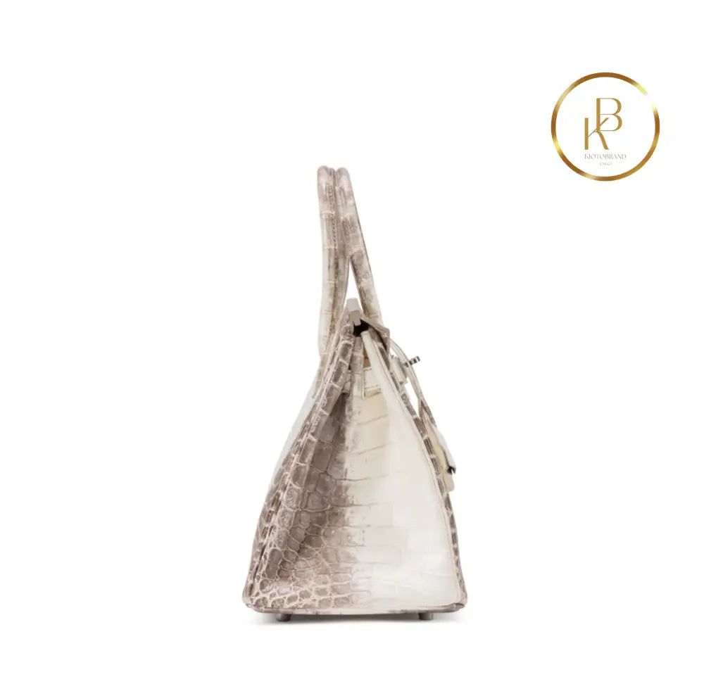 Birkin 30 Himalaya Matte Nile Croco Handbags