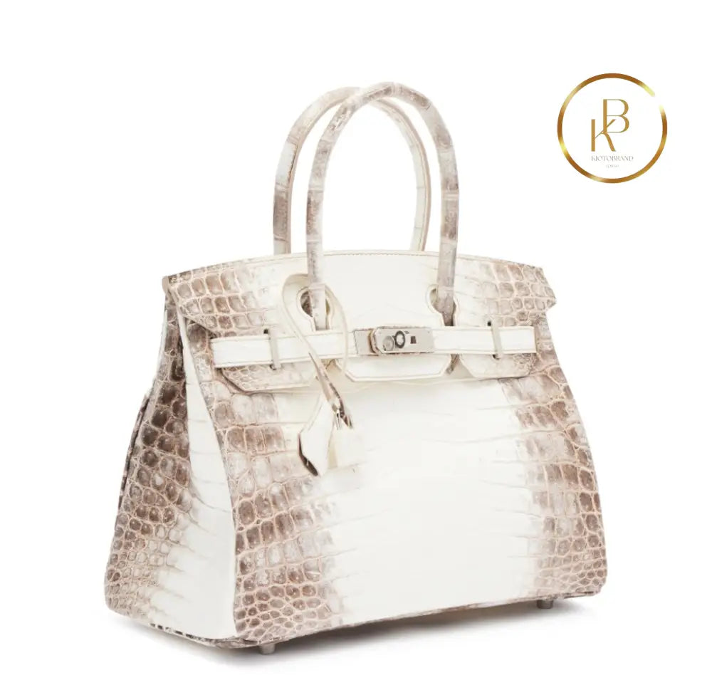 Birkin 30 Himalaya Matte Nile Croco Handbags