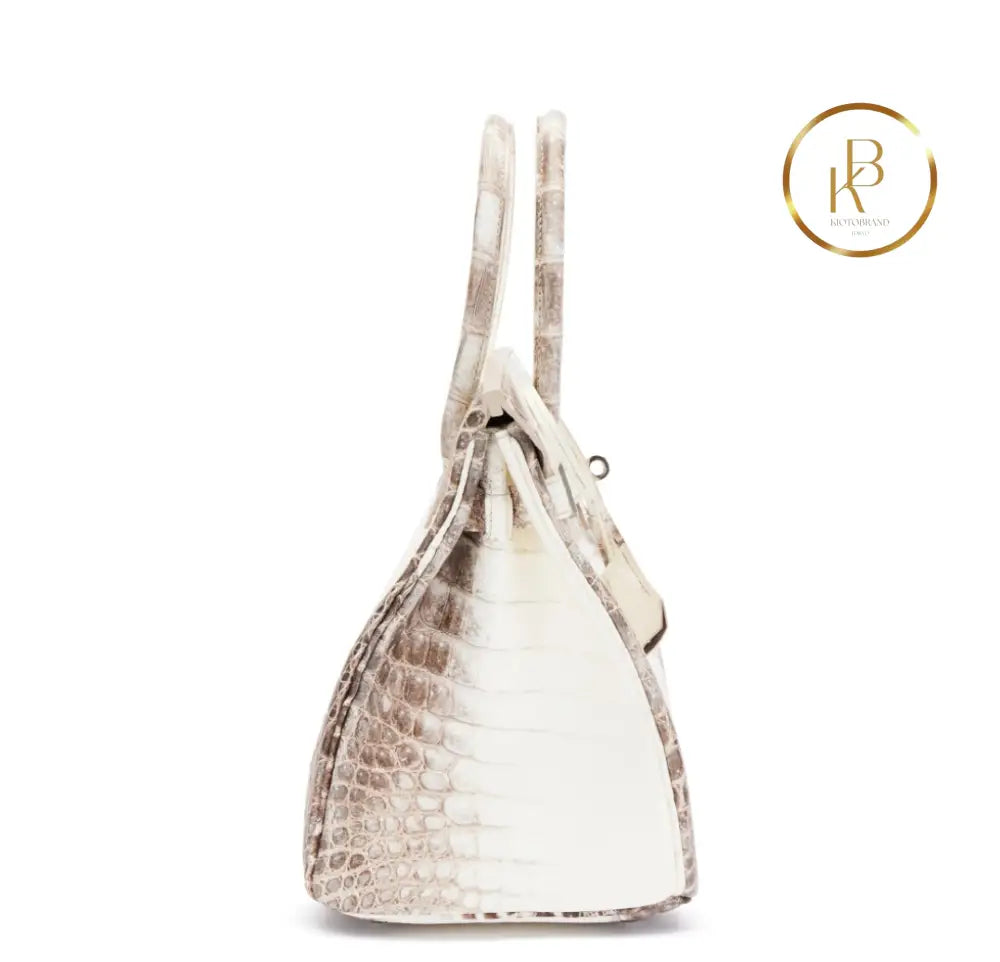 Birkin 30 Himalaya Matte Nile Croco Handbags
