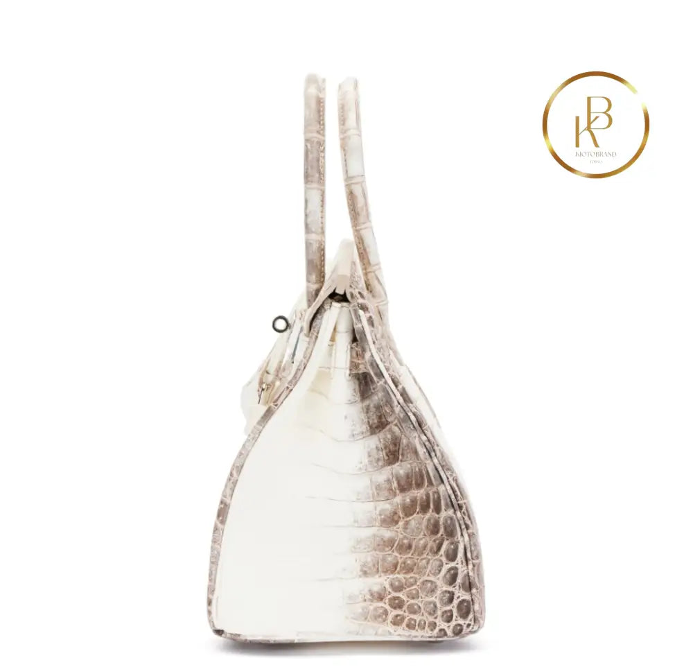 Birkin 30 Himalaya Matte Nile Croco Handbags