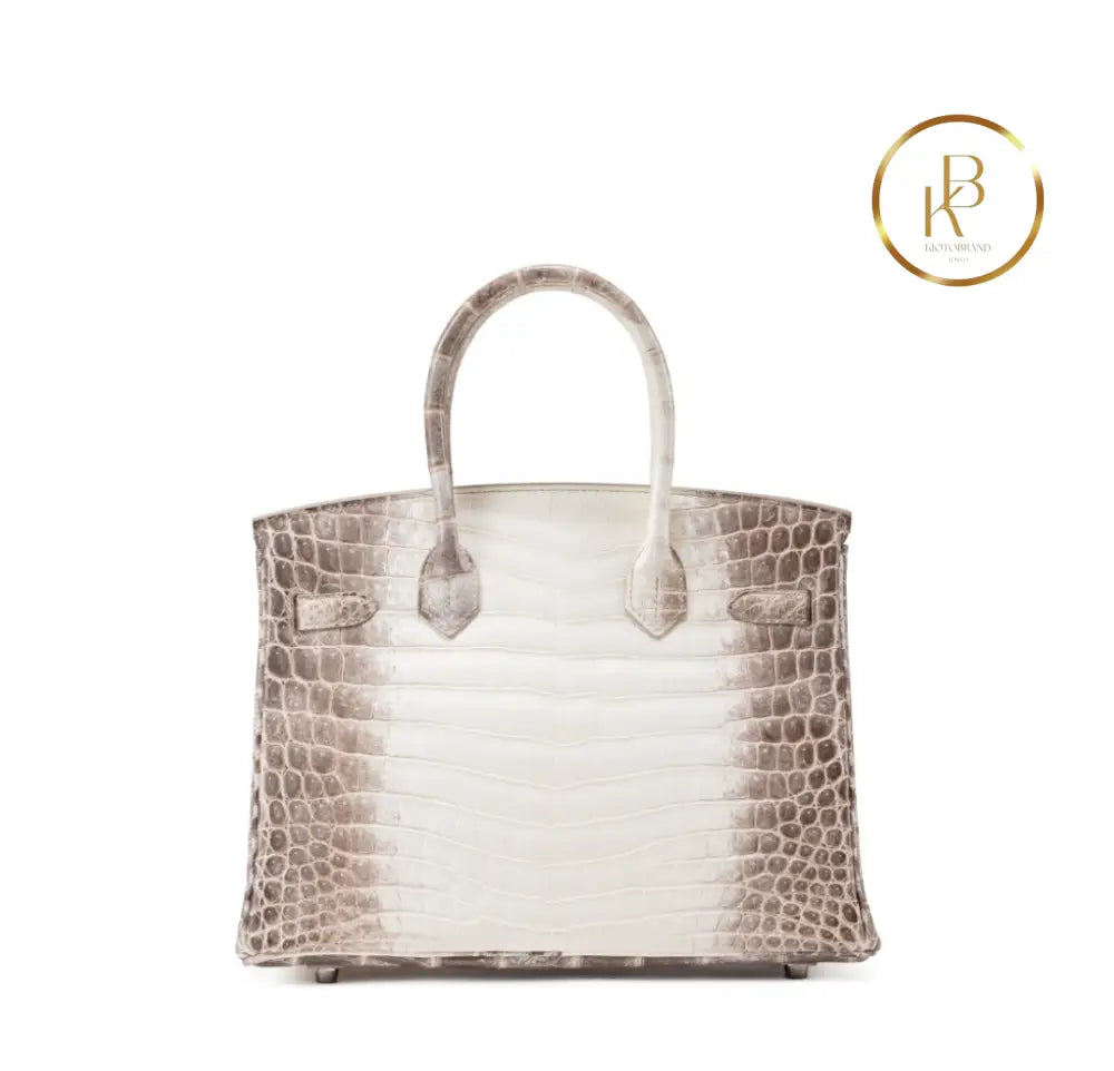 Birkin 30 Himalaya Matte Nile Croco Handbags