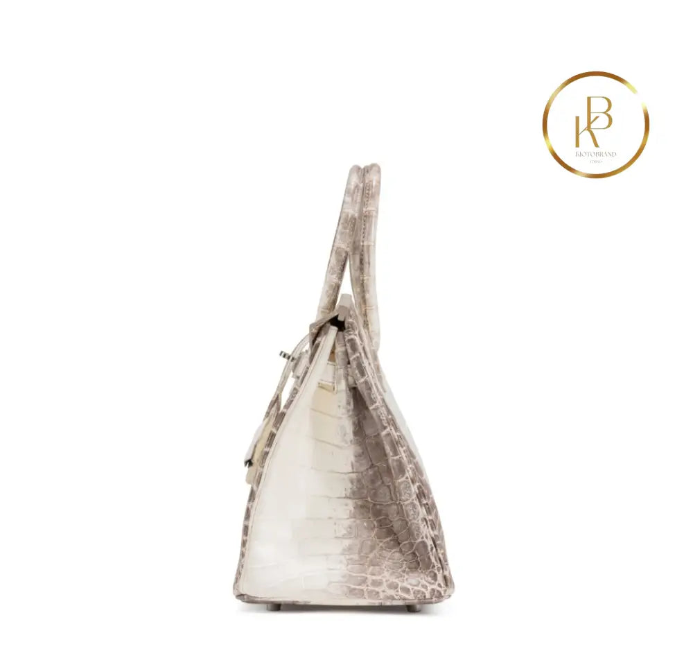 Birkin 30 Himalaya Matte Nile Croco Handbags