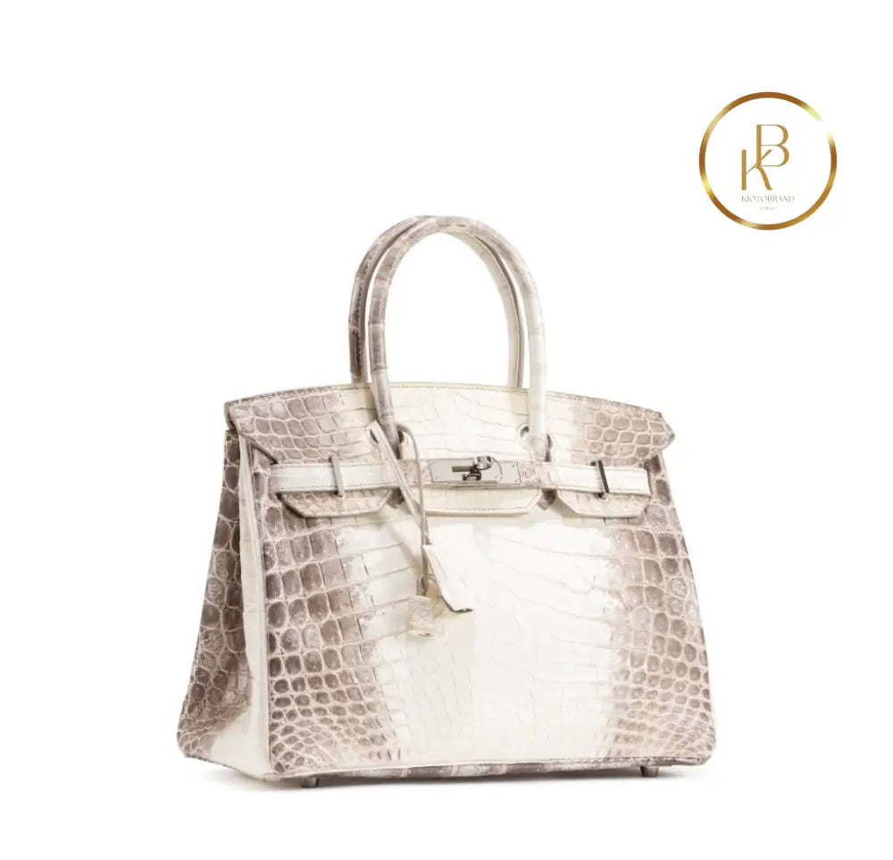 Birkin 30 Himalaya Matte Nile Croco Handbags